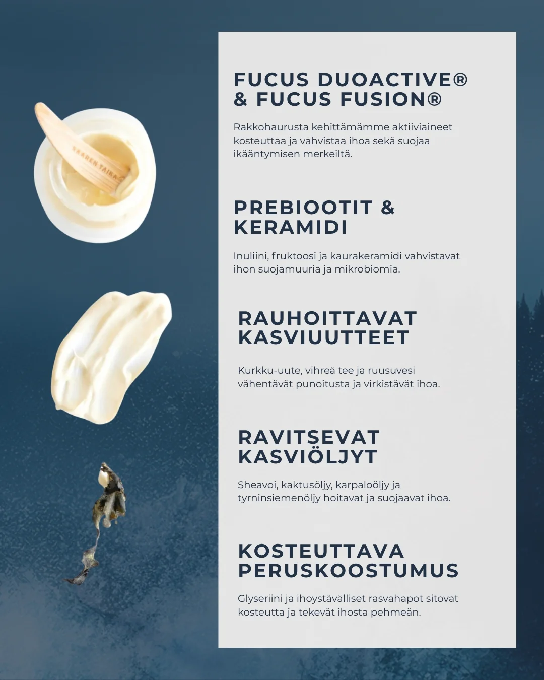 Pikkukuva 7