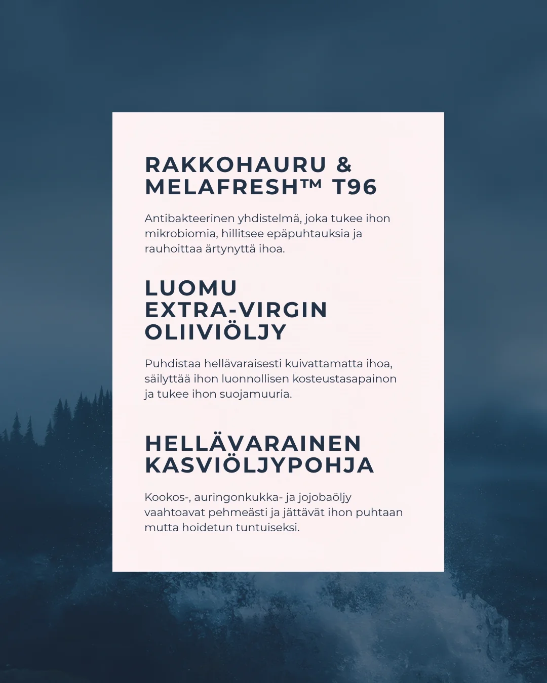 Pikkukuva 3