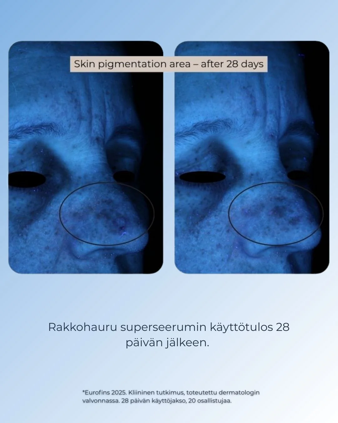 Pikkukuva 8