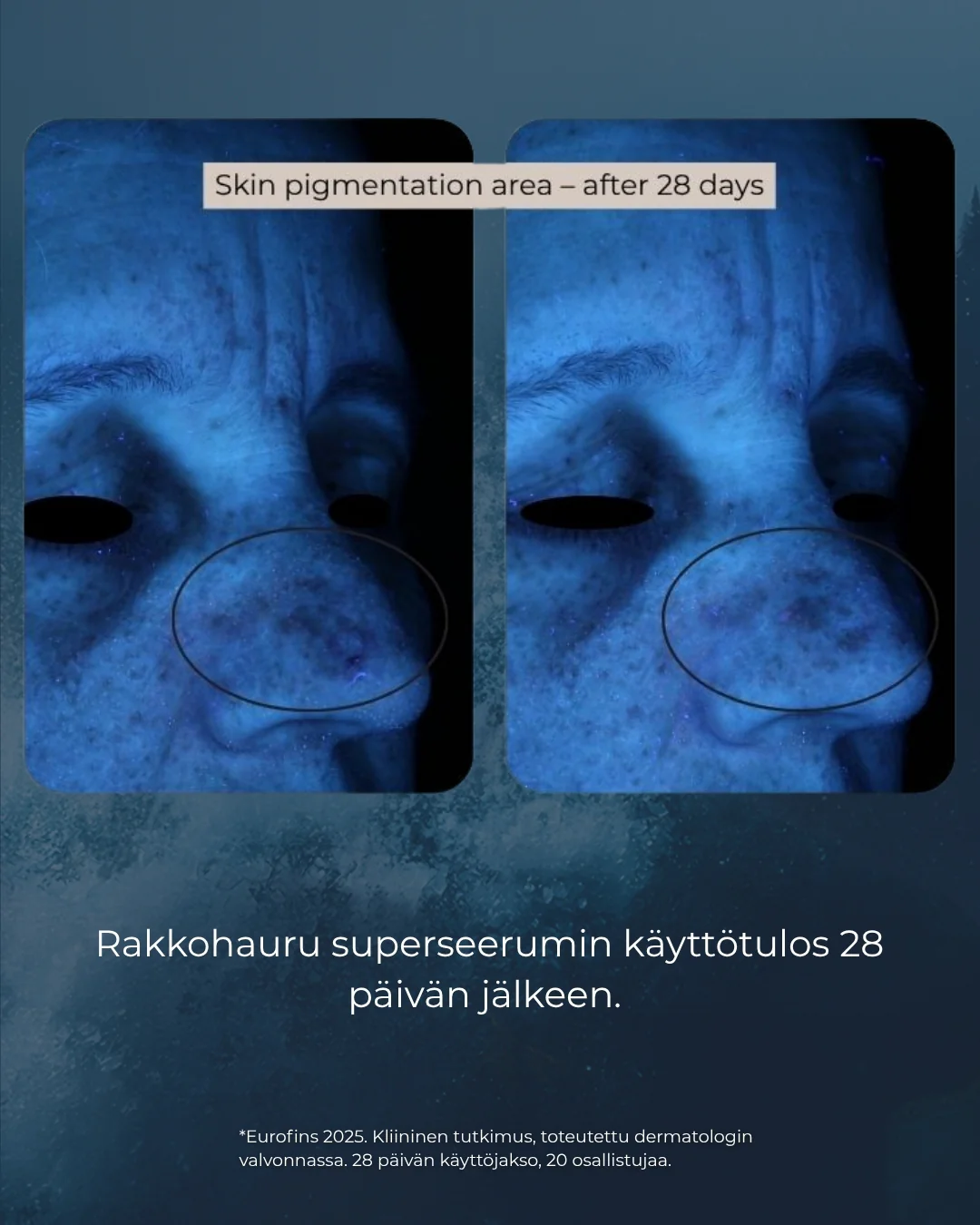 Pikkukuva 10